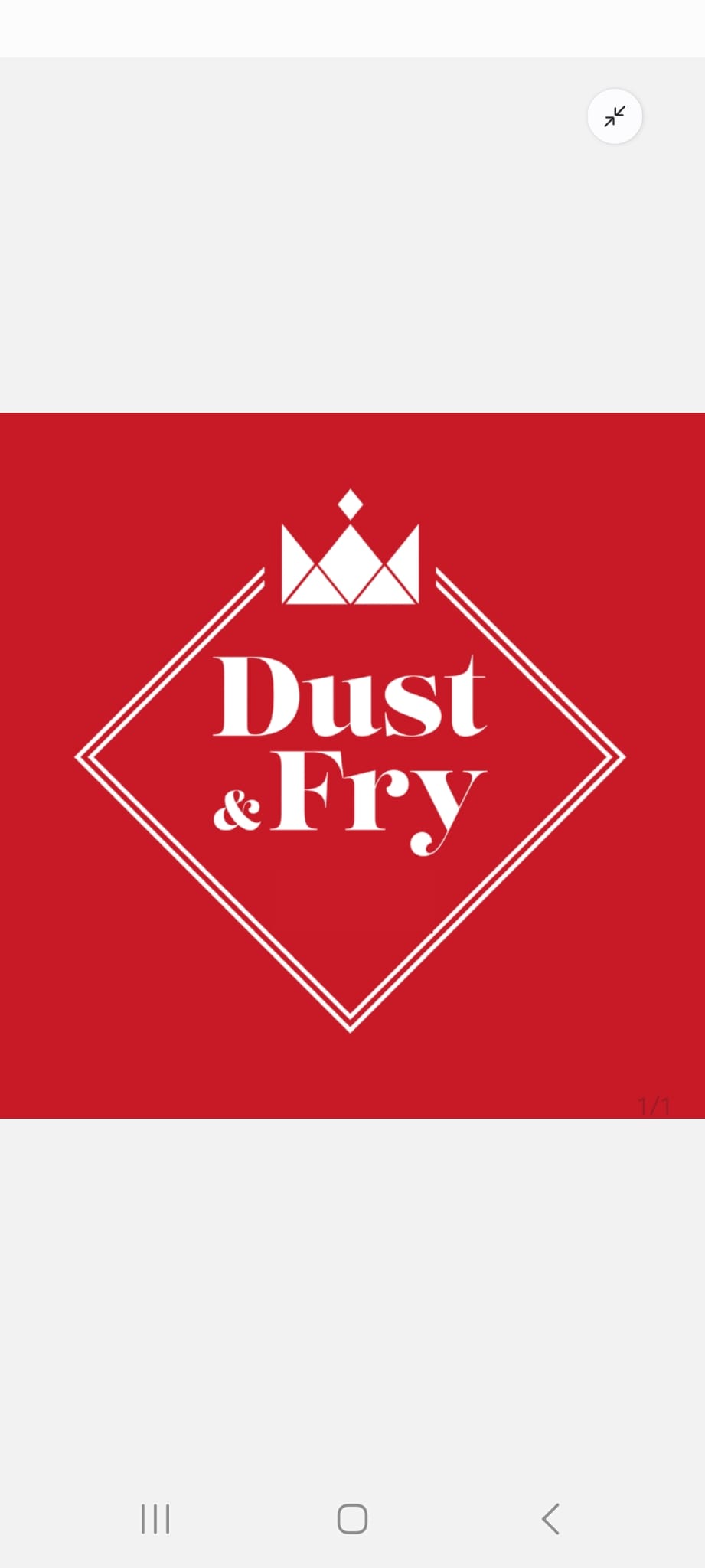 Dust & Fry Logo